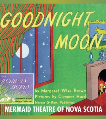 bedroom window with a curtain and night sky outside the window. Text Goodnight Moon written in yellow text  