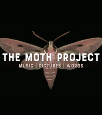 Graphic of a brown moth in front of a black background with the words "THE MOTH PROJECT" in white