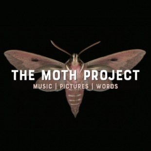 Graphic of a brown moth in front of a black background with the words "THE MOTH PROJECT" in white